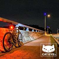 Cat-Eye4